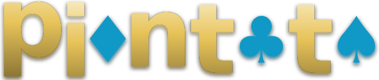 piontoto logo